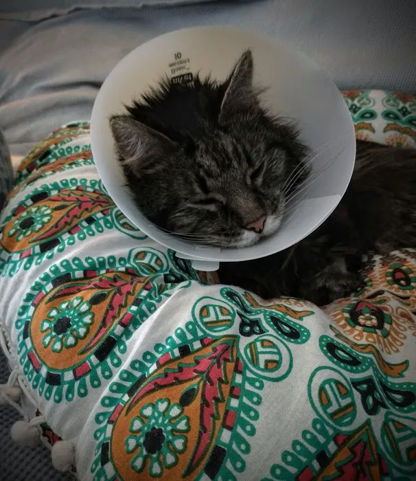 Akron-Peninsula Veterinary Office 12