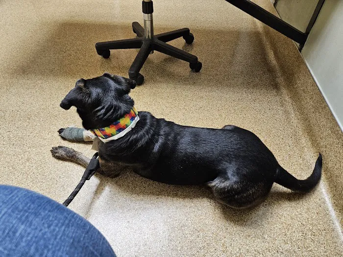 Akron-Peninsula Veterinary Office 12