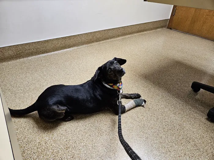 Akron-Peninsula Veterinary Office 12