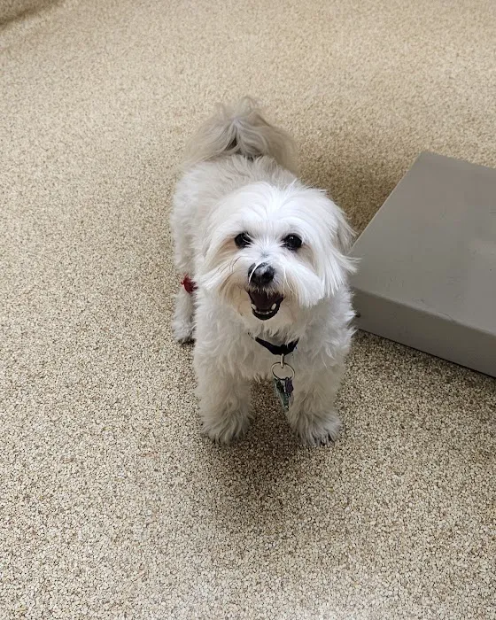 Akron-Peninsula Veterinary Office 12