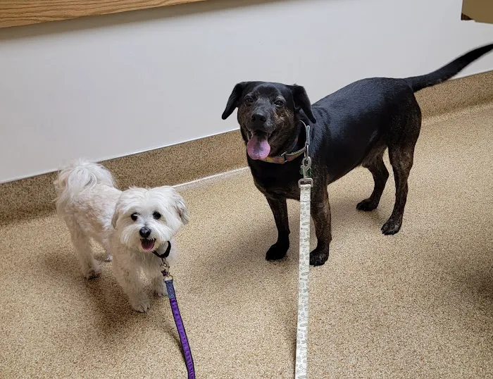 Akron-Peninsula Veterinary Office 12