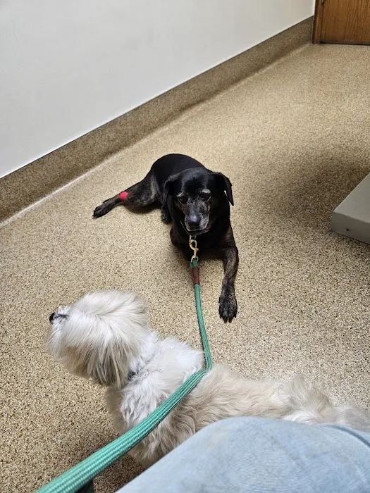 Akron-Peninsula Veterinary Office 12