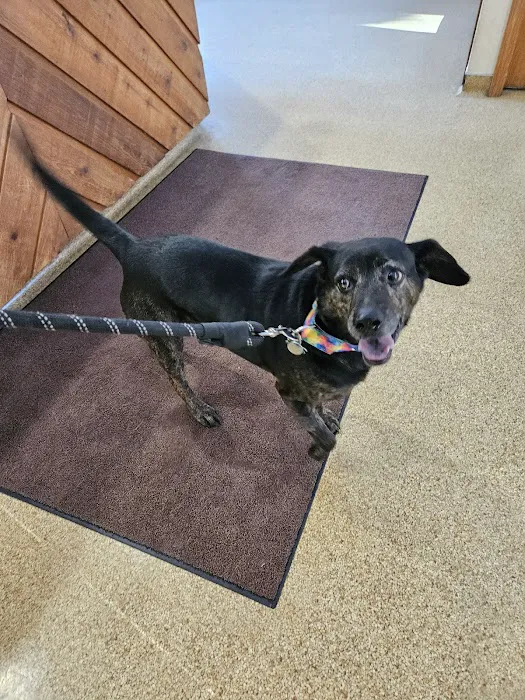 Akron-Peninsula Veterinary Office 12
