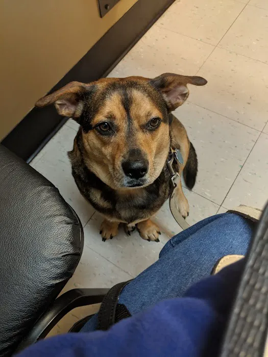 Valley Animal Hospital 12