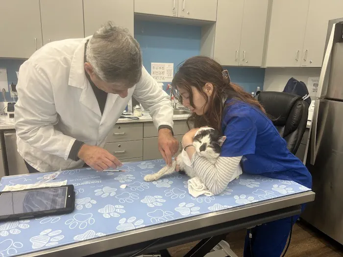 VIP Petcare Vaccination Clinic 12