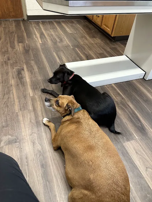 VCA Lakewood Animal Hospital 7