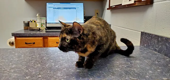 VCA Lakewood Animal Hospital 3