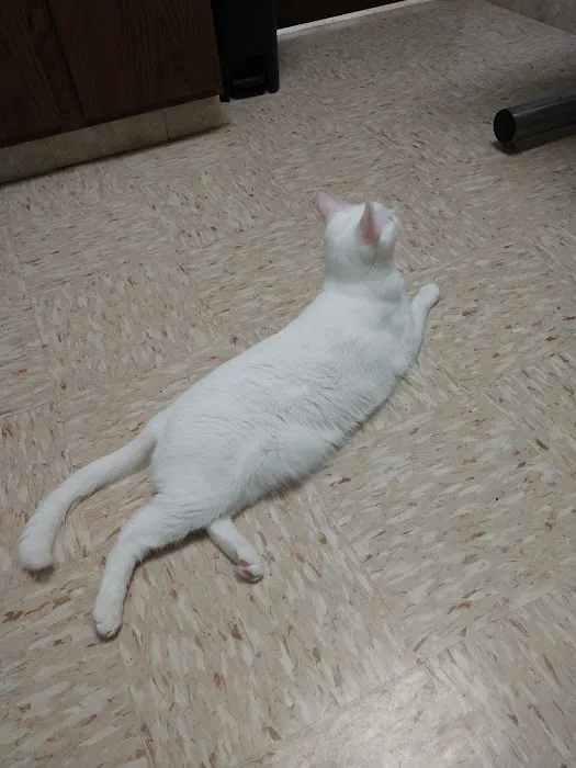 Southwest Animal Hospital 9