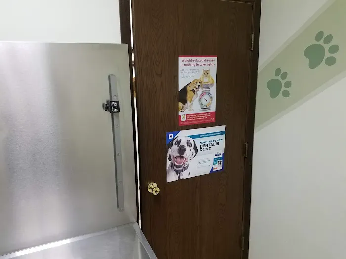 Southwest Animal Hospital 6