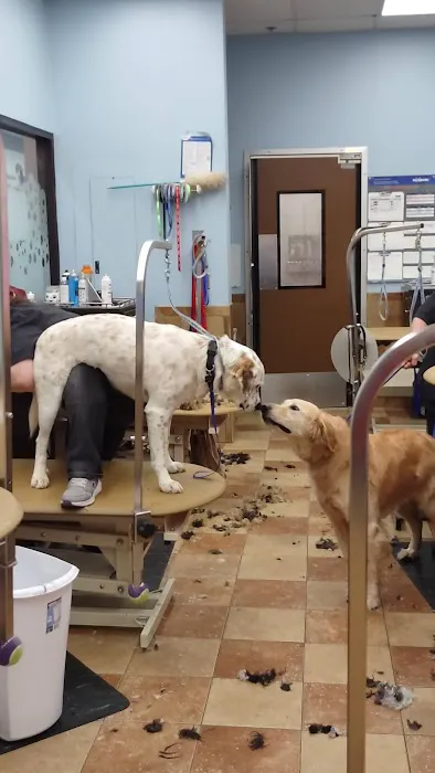 Banfield Pet Hospital 12