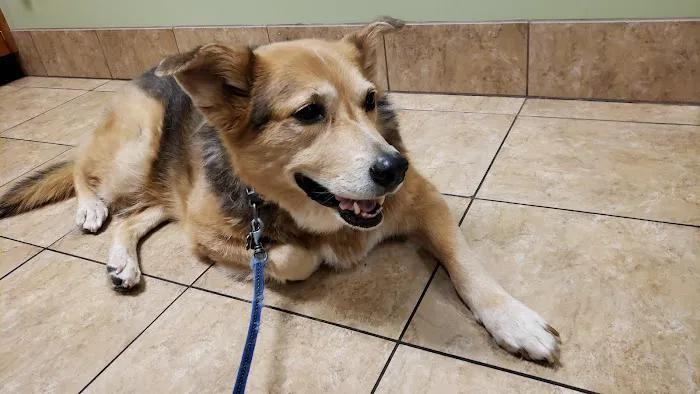 Banfield Pet Hospital 12