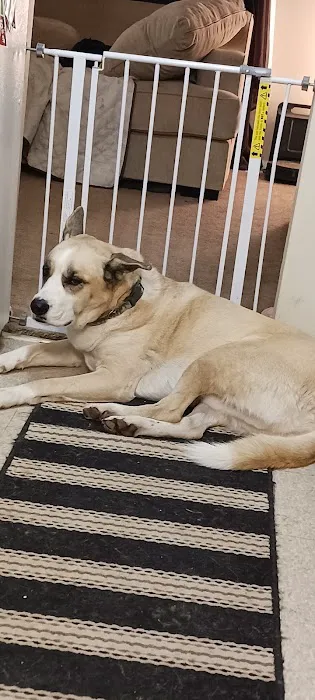 Buckeye Animal Hospital 12