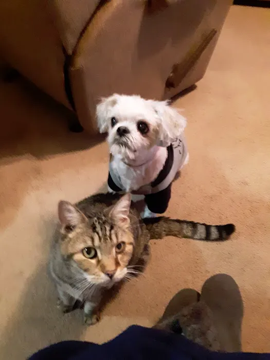 Buckeye Animal Hospital 12