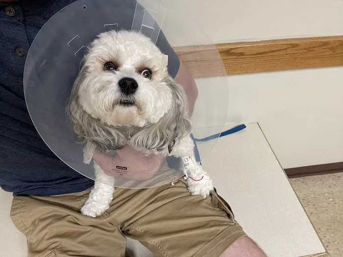 North Royalton Animal Hospital 2