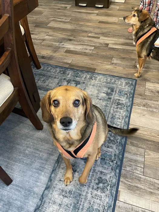 North Royalton Animal Hospital 8
