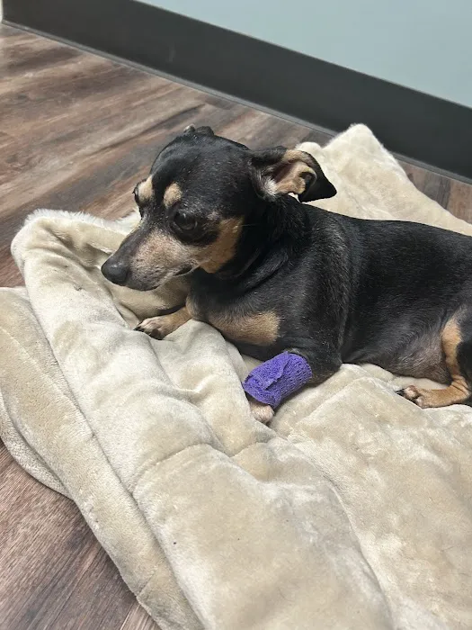 North Royalton Animal Hospital 5