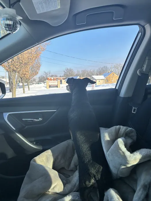 North Royalton Animal Hospital 3