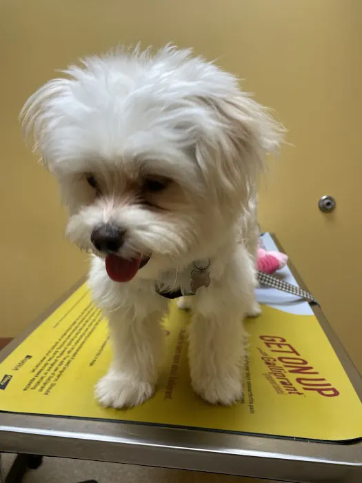 North Royalton Animal Hospital 7
