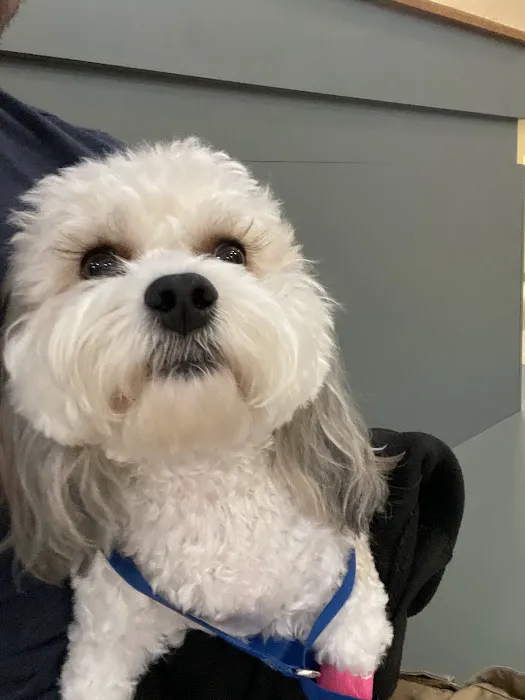 North Royalton Animal Hospital 6