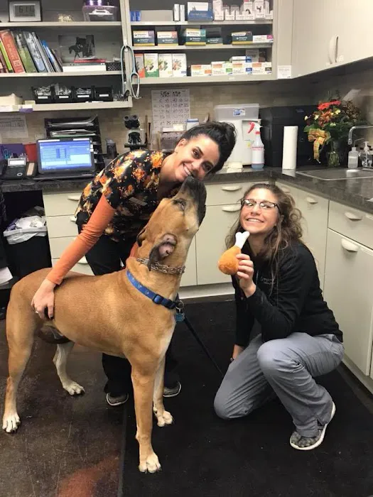Greystone Veterinary Hospital + Urgent Care 1