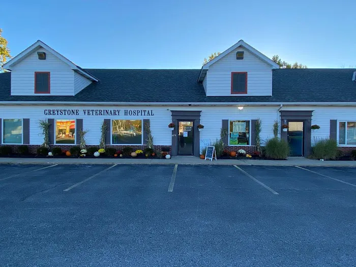 Greystone Veterinary Hospital + Urgent Care 7
