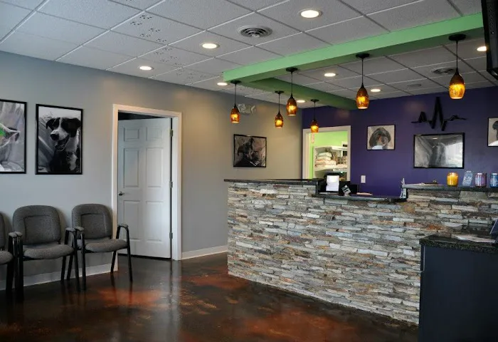 Greystone Veterinary Hospital + Urgent Care 6