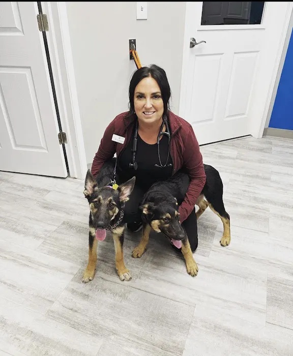 Greystone Veterinary Hospital + Urgent Care 10