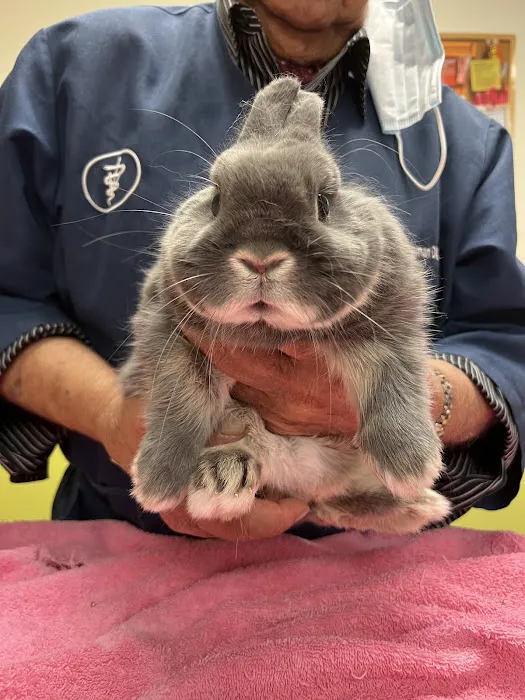 Aaron Animal Clinic 12