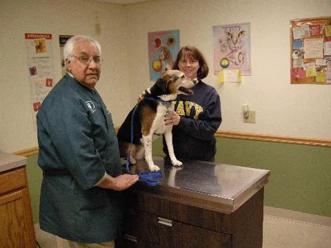 Aaron Animal Clinic 12