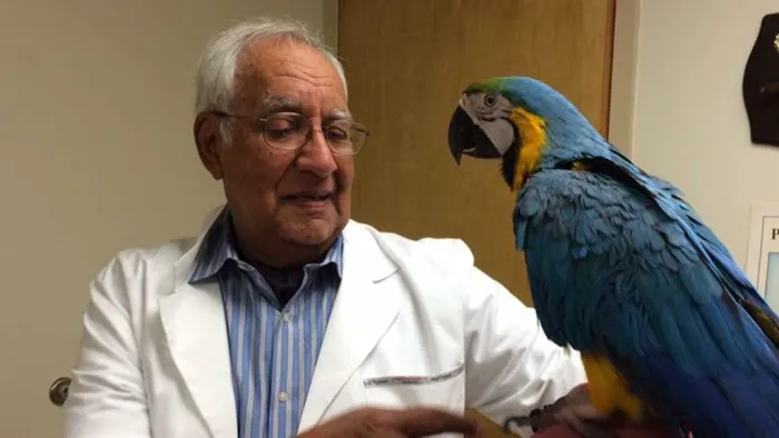 Aaron Animal Clinic 12