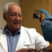 Aaron Animal Clinic ico