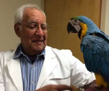 Aaron Animal Clinic