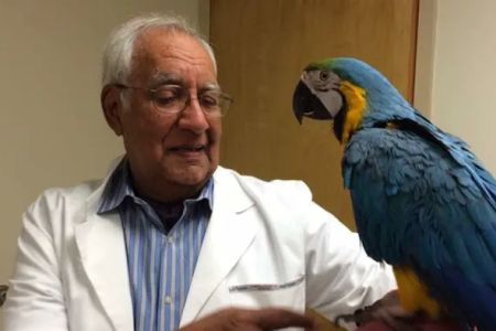 Aaron Animal Clinic