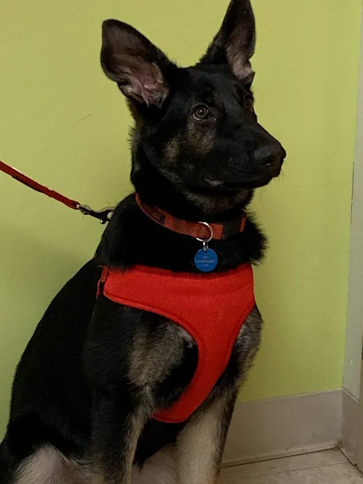 Aaron Animal Clinic 12