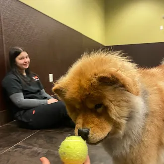 Bartels Busack Pet Hospital Resort & Spa 12