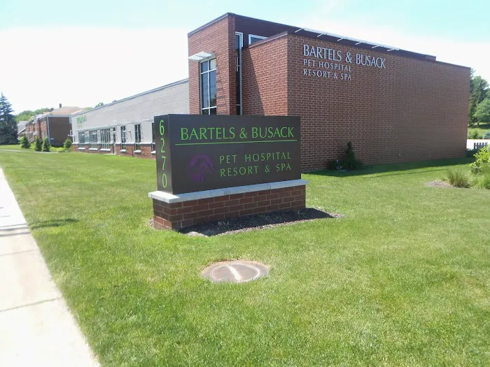 Bartels Busack Pet Hospital Resort & Spa 12
