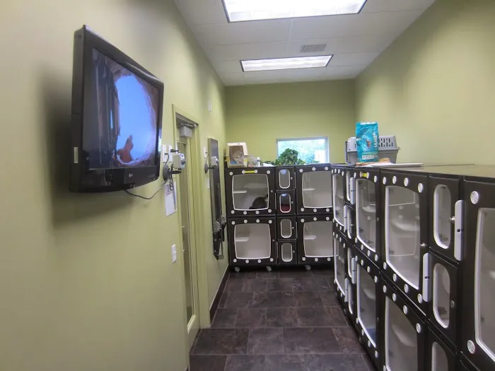 Bartels Busack Pet Hospital Resort & Spa 12