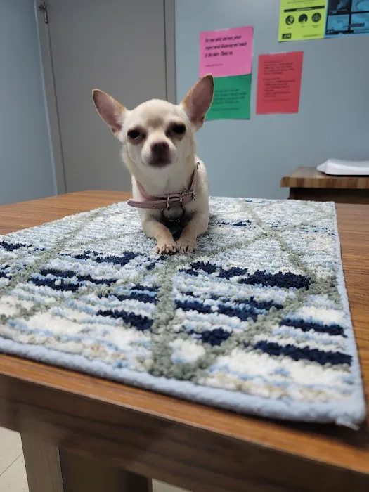 Suburban Animal Hospital - WE HAVE MERGED WITH KENTOWN ANIMAL HOSPITAL! 12