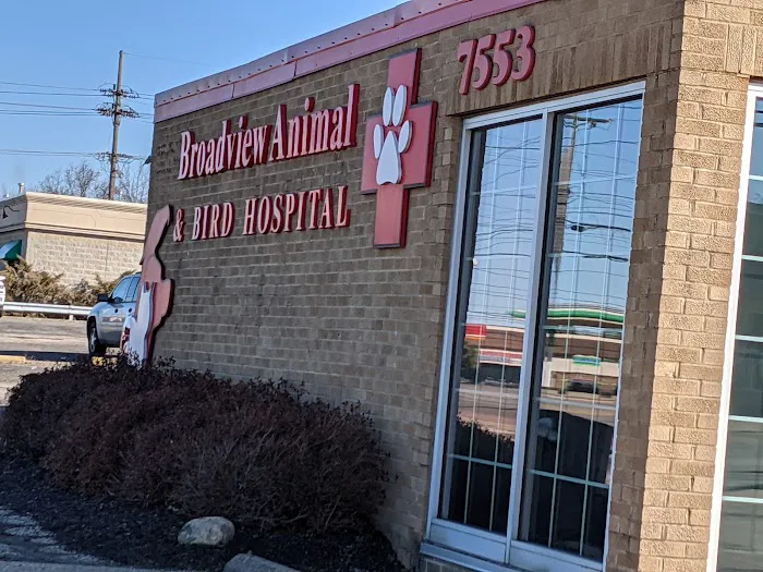 Broadview Animal & Bird Hospital: Shaw S DVM 12