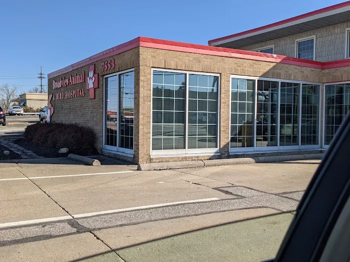 Broadview Animal & Bird Hospital 12