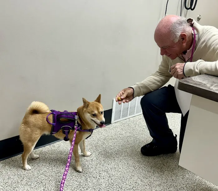 Broadview Animal & Bird Hospital 12