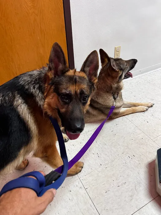 Columbia Animal Hospital 7