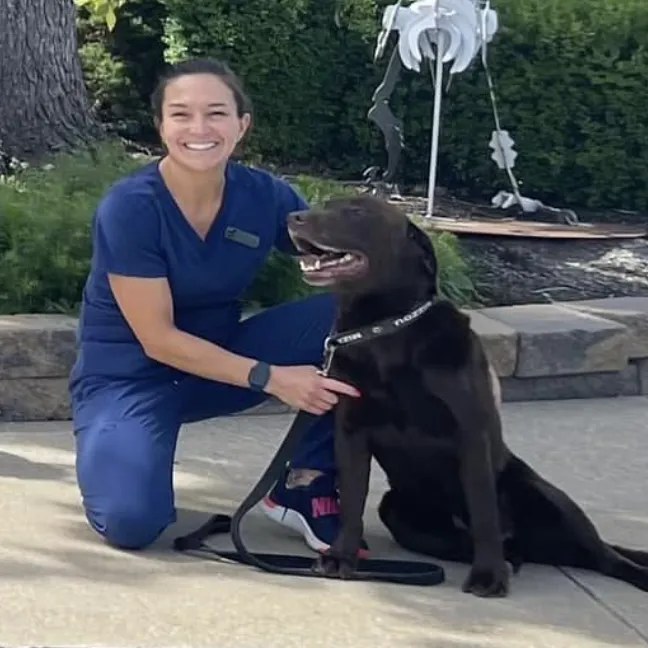 All Creatures Animal Hospital 7