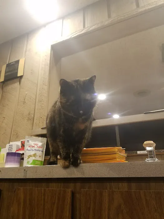 Tiger Town Veterinary Services 6