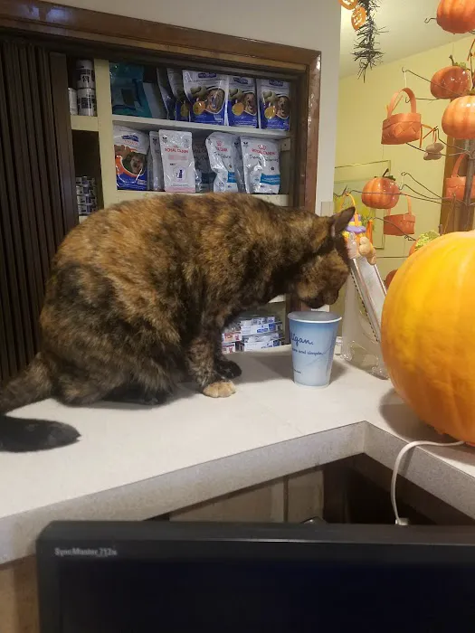 Tiger Town Veterinary Services 5
