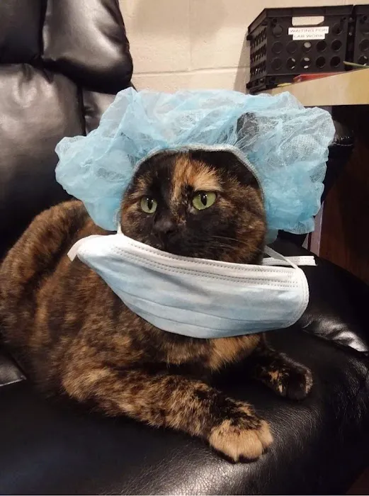 Tiger Town Veterinary Services 8
