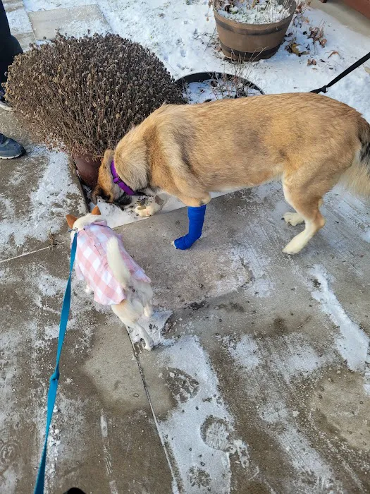 Noah's Ark Animal Hospital & Bird Clinic 7
