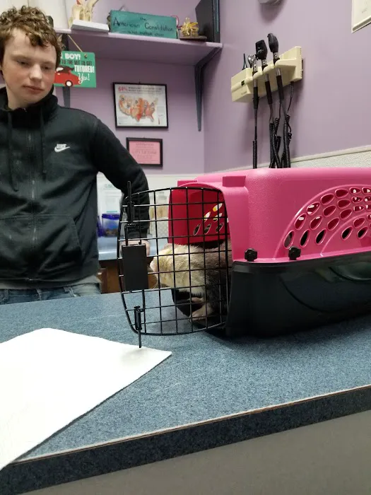Noah's Ark Animal Hospital & Bird Clinic 10