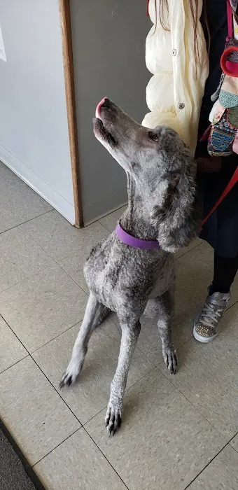 Sunshine Animal Hospital 12