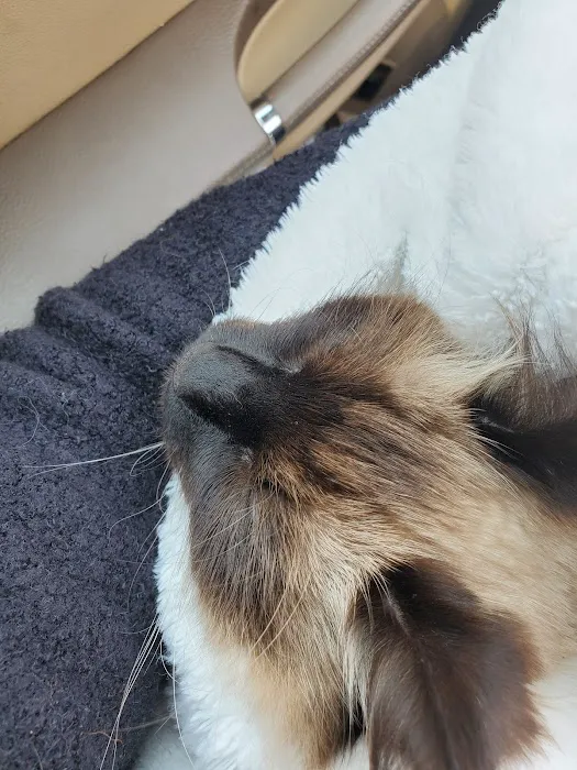 Sunshine Animal Hospital 12